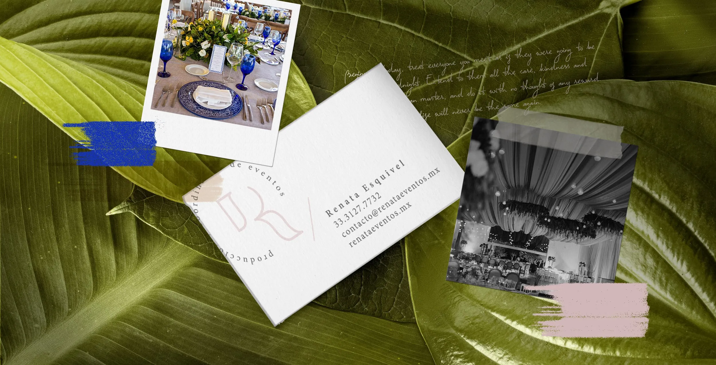 Diseño de empaque por KOSMO diseño